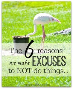 the 6 reasons that we make excuses to NOT do things - which do you use? the 6 reasons that we make excuses to NOT do things - which do you use?